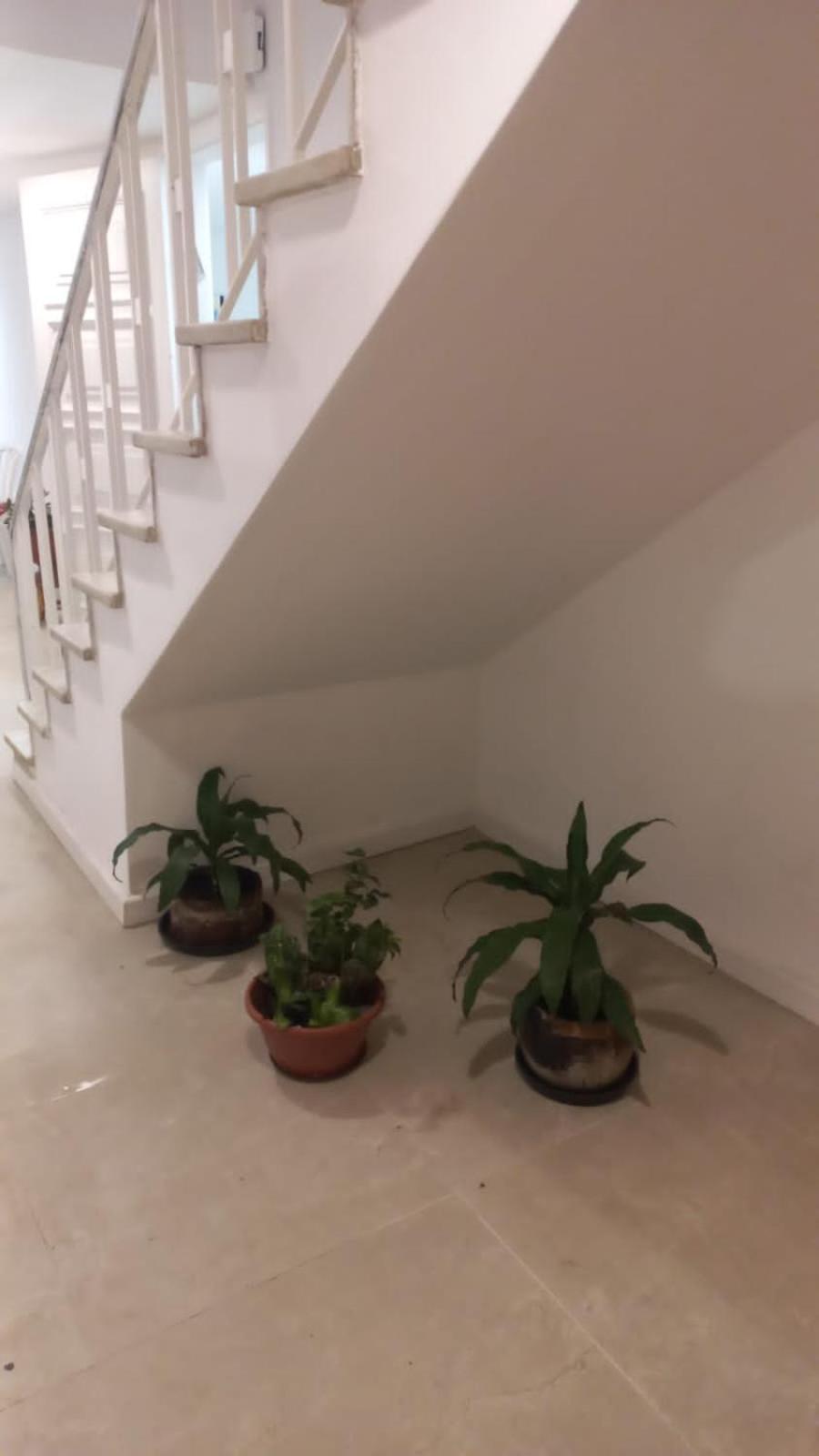 Espaco Semente Poa Lirio Porto Alegre Esterno foto
